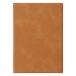 rotia(RHODIA) PVC жесткий чехол No16 для A5 cfrdphc16cam Camel рукоятка z