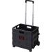  гора .(YAMAZEN) Orrico n Cart WOC-26BK черный рукоятка z