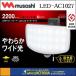 musashi ॵ  RITEX 饤ƥå 27W磻 ե꡼༰ LED󥵡饤(LED-AC1027)