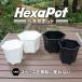  цветочный горшок шести- pot горшок шесть прямоугольник 
