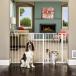 ڥåȥ ꥫCarlson 륽 ޥ롼 Maxi Pet Gate carl1210pw ƱԲ