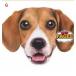  для домашних животных подушка ROSEWOOD PET FACES - BEAGLE Beagle 