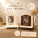  кошка ножек домашний алтарь подставка модель & керамика предметы для домашнего буддийского алтаря комплект слоновая кость домашнее животное домашний алтарь комплект домашнее животное домашний алтарь домашнее животное предметы для домашнего буддийского алтаря домашнее животное .. домашнее животное memorial .....