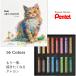  Pentel искусство мелки 16 -цветный набор взрослый мелки 