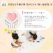 �O�H���M ���j�p���b�g ���M 2B 1�_�[�X ������ ���w�� ���킢�� ������� �O���f�[�V���� ���{�� ���̎q �j�̎q ���w���� ���� 6B ����҂�  uni �O�H �֘A�摜5