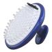  Ikemoto .. промышленность (Ikemoto Brush) бейсбол форма для стирка щетка SP275 голубой w60×h81×d54mm