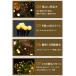 �K�[�f�����C�g ���O ���킢�� 2�{�Z�b�g �k �\�[���[���C�g �h�� ������� �\�[���[ led ���� �z�^�� �A�l�� �֘A�摜5