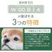 �� �u�� �K�[�f�j���O �G�� �K�[�f�� �I�[�i�����g �I�u�W�F �k ���g�� �L �� �y�b�g WooBia �֘A�摜1