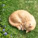 �� �u�� �K�[�f�j���O �G�� �K�[�f�� �I�[�i�����g �I�u�W�F �k ���g�� �L �� �y�b�g WooBia �֘A�摜3