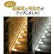 �s2,950�~�`�t�\�[���[���C�g  ���O 4�� �u���^ �k �h�� LED �K�[�f�����C�g ������� ���� �� �x�����_ �O�\ �����_�� �\���b�N �֘A�摜1