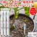 �����`�F�b�J�[ �T�X�e�B�[ SUStee L�T�C�Y �z���C�g 3�{�Z�b�g �ϗt�A�� ����� �ȒP �����`�F�b�J�[