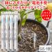 �����`�F�b�J�[ �T�X�e�B�[ SUStee L�T�C�Y �z���C�g 4�{�Z�b�g �ϗt�A�� ����� �ȒP �����`�F�b�J�[