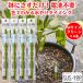 �����`�F�b�J�[ �T�X�e�B�[ SUStee M�T�C�Y �O���[�� 4�{�Z�b�g �ϗt�A�� ����� �ȒP �����`�F�b�J�[