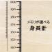 �E�H�[���X�e�b�J�[ �g���v 200cm�Ή�  ���[�^�[�̂�(50cm-200cm)�@�� �ׂ� �q��