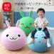 �V�[�v�z�[���{�[�� �q���p�z�b�s���O�{�[�� ����ėV�ׂ� �W�����v�{�[�� �W���b�v �̊� �������� �g���[�j���O �X�|�[�c�g�C �o�����X