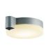 KOIZUMI �R�C�Y�~�Ɩ� �l���Z���T�t�����V�[�����O���C�g AU50481