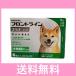 �l�y�ǐՔԍ�����z���p�@�t�����g���C���v���X�@M�i10�`20���������j�@�U�{
