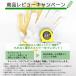 �O�j�c�� ��n�i�����ށj�i12�~100�~2000mm�j(9����)�q�m�L �Ђ̂� ���h�� DIY �؍� �֘A�摜5
