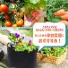 �s�D�z�v�����^�[ 5�K���� �����o�b�O �G�A���[�V�����t�@�u���b�N�|�b�g �n���h���t�� 5�Z�b�g �֘A�摜4
