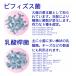 ������ ���_�� �T�v�� �r�t�B�Y�X�� 30��� 5���� 30�����~2�� �����t���[�� �v���o�C�I�e�B�N�X ���_�� �I���S�� �H���@�� �L�E�q�����_�� �֘A�摜5