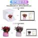 �B�e�{�b�N�X �y�n���]��TBP�����X�z �B�e�X�^�W�I �܂肽���� �B�e�p 23��23��24cm LED���C�g �ȈՃX�^�W�I �ʐ^�X�^�W�I USB���d 6�F�w�i�z �g���ȒP �֘A�摜1