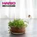 посадочная машина ... полив контейнер 50mL 200mL HARIO RELAXING сделано в Японии жаростойкий стекло декоративное растение треугольник колба пробка интерьер модный подарок HARIO сирень расческа ng официальный 