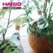  посадочная машина ... полив контейнер стекло очарование 50mL HARIO RELAXING сделано в Японии жаростойкий стекло декоративное растение треугольник колба интерьер модный подарок HARIO сирень расческа ng официальный 