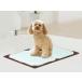  one ko туалет коврик широкий PTS-TMWC-CBR Brown HARIO PET официальный HARIO домашнее животное собака тонкий домашнее животное простыня предотвращение скольжения круг мытье возможность 