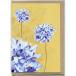 ���꡼�ƥ��󥰥����� Blue Pincushion �֥롼�Υ˥� ��Mokoh Design�� ���᡼����OK��