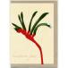  поздравительная открытка Kangaroo Paw кенгуру Poe [Mokoh Design] * почтовая доставка OK*