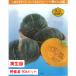 [4 месяц средний ... отправка начало предположительно!] тыква каштан маленький шар ( Bay Blade ) 3 номер [1 АО ]9cm pot овощи рассада огород цветок . садоводство 
