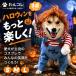 �� �n���E�B�� �ߑ� �R�X�`���[�� ������� �R�X�v�� �ϑ� ��������O�b�Y ���^�� ���^�� ��^�� �h�b�O�E�F�A �J�c�� 3�_�Z�b�g ���� �B�e�� �t�H�g �p�[�e�B�[