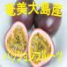  Amami Ooshima производство маракуйя примерно 5kg A класса товар бесплатная доставка ( Tohoku * Hokkaido * Okinawa +500 иен )