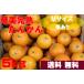  Amami Ooshima производство Amami ......5kg. для бытового использования M размер примерно 6cm~ примерно 7cm [ есть перевод, царапина есть ][ бесплатная доставка ][ Hokkaido * Tohoku * Okinawa +500 иен ]