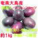 Amami Ooshima production passionfruit approximately 1kg C class goods (12 sphere ~15 sphere entering ). home use [ with translation scratch equipped color blur equipped don't fit ] free shipping ( Tohoku * Hokkaido * Okinawa +500 jpy )