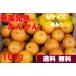  Amami Ooshima производство Amami ......10kg. для бытового использования M размер примерно 6cm~ примерно 7cm [ есть перевод, царапина есть ][ бесплатная доставка ][ Hokkaido * Tohoku * Okinawa +500 иен ]