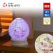  поддон фонарь O-Bon фонарь местного производства лампа . Mini compact модный современный цветок новый поддон первый поддон новый поддон . видеть Mai .. для ...[ новая модель Lien ( Lien ) белый осень .]. домашний алтарь.. ...