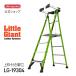 �� LG-19304 �ۥ�ȥ른�㥤����� littlegiant �ե����ȥ쥹 4�� FRP���ȵ�Ω �����դ� ���饦��ɥ��塼 ����� ����ŷ�� �������ƥå� ��Ω ������