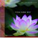 528hz CD йога need la лучший YOGA NIDRA BEST /.... почтовая доставка бесплатная доставка прослушивание OK