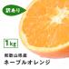FD01 есть перевод местного производства ne-bru Wakayama префектура производство 1Kg.. есть не комплект . для бытового использования .... orange сок . дом для .. было использовано фрукты фрукты бесплатная доставка 