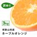 FD01 есть перевод местного производства ne-bru Wakayama префектура производство 3Kg.. есть не комплект . для бытового использования .... orange сок . дом для .. было использовано фрукты фрукты бесплатная доставка 