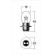 �o�C�N�p�[�c �d���n �G���A���h�G�C�`�}�c�V�} M��H �m�[�}���o���u �w�b�h�L���E 12V30 30W �N���A 1P2015