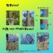 ����肩�񂽂�I�炭�炭�����ߊl�b�ċx�� �؂ɖ�������ߒ��� ���� �J�u�g���V�E�N���K�^�E���̐��������������Ȃ� �֘A�摜3