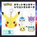  Pokemon силикон Mini сумка бардачок слуховай аппарат кейс ячейка для монет Пикачу ушко (уголок) kyugenga-po коричневый ma плесень gon все 5 вид . покупка 
