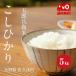 長野県産 こしひかり 上伊那産 1等米 ２９年産 白米 【10kg】