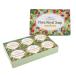 �ڥ᡼���������ۥե�����(Flora) 100%ŷ��ͳ��μ����ɥ����� �ե����������륽���� 6�ĥ��å� 720g ������를�꡼�۹� ��������������Ի��� �֤����