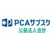 pi-si-e-PCA вспомогательный sk.. юридическое лицо отчетность dx