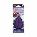 �����z���g Scents �E���g���m�X�N ���C���h�x���[ NOR49 [�F���� �����ԗp] ����