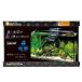  аквариум LED комплект Regulus F-600SH/B фильтр - Z40 (W600×D200×H360mm) 38L (REGLASS основной комплект 60cm аквариум тропическая рыба аквариумная рыбка аквариум Kotobuki прикладное искусство )