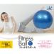 wi can WJ-574 фитнес мяч голубой 